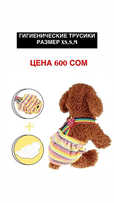 Зоотовары: Одежда для кошек и собак. От 200 сом и дороже Все НОВОЕ РАЗМЕР И — 25