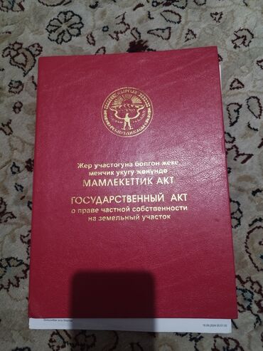 кара жыгач комната: 41 соток, Айыл чарба үчүн, Кызыл китеп, Техпаспорт