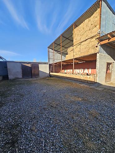 Продажа коттеджей и домов: Продается современный кошар с домом в селе Чокморов 💸=480.000$+торг — 6