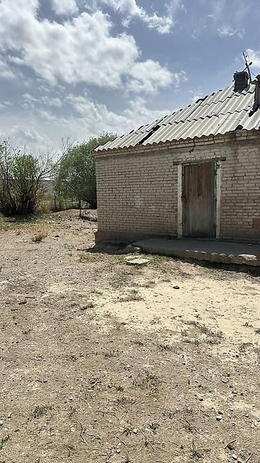 фрунзе совхоз: Продается кошар для скота с чабанским 2 комнатным домом из селикатного — 4