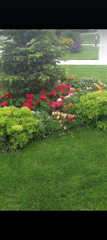 Toxumlar: Qazon çatrlma qurasdrma
#qazon
qazonsatişi
#qachon
#qazon — 2