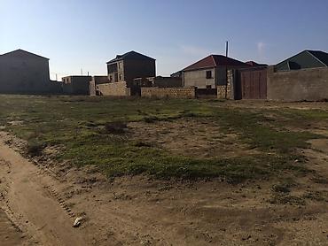 Torpaq: 14 sot, Tikinti, Mülkiyyətçi, Kupça (Çıxarış) — 2