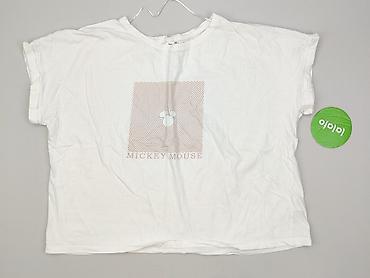lion stuff: Disney, T-shirt damski, rozmiar 3XL — 2