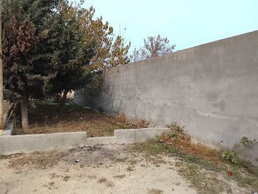 Torpaq sahələrinin satışı: 2 sot, Tikinti, Mülkiyyətçi, Kupça (Çıxarış) -da lalafo.az — 5 Torpaq sahələrinin satışı: 2 sot, Tikinti, Mülkiyyətçi, Kupça (Çıxarış) — 5