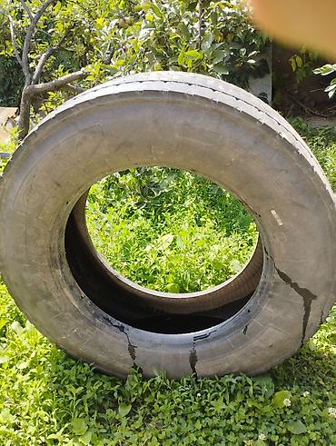 стар шина: 1шт шина Giti 315/60R22.5 в хорошем состоянии — 1