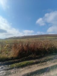 дом с цокольным этажом и гаражом: 600 соток, Для бизнеса, Собственник, Купчая