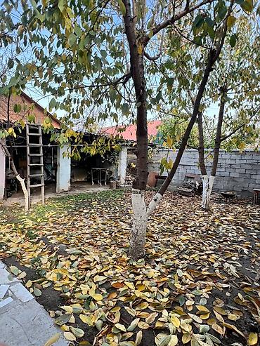 Продажа коттеджей и домов: Продаю дом 160м2 квадратов 5 комнат дополнительно пристроено летняя — 4