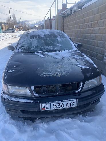 Nissan: Nissan Maxima: 1996 г., 1.6 л, Механика, Бензин, Седан — 1