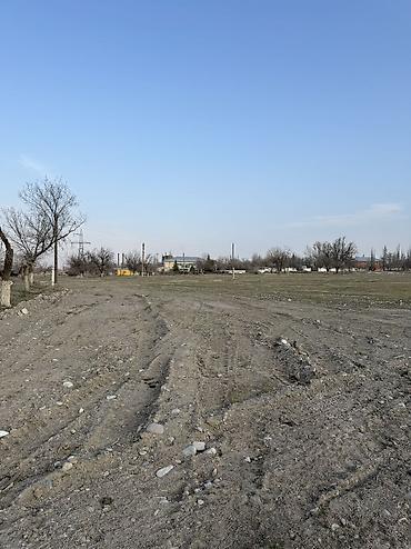 участок в центре города: 280 соток, Красная книга — 2