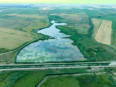 Продажа участков: 1030 соток, Для сельского хозяйства, Тех паспорт, Красная книга — 8