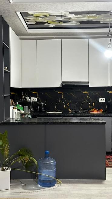район ала тоо: 5 комнат, 240 м², 4 соток, Бишкек, Ала-Тоо ж/м Агентство недвижимости — 5