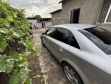 выхлопная: Audi A4: 2003 г., 2 л, Седан — 5