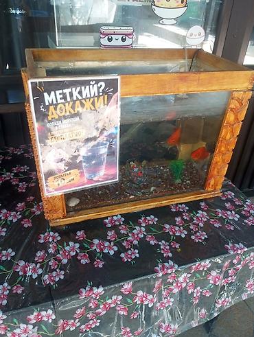 Оборудование для бизнеса: Игра-промо «Меткий? Докажи!» Суть: брось монетку в стакан — получи — 1