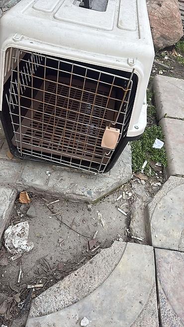 Офисные шкафы: Офисный шкаф, цвет - Черный, ЛДСП — 2