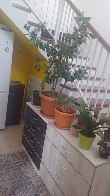 Продажа домов: Дом, 85 м², 4 комнаты, Собственник, Евроремонт — 13