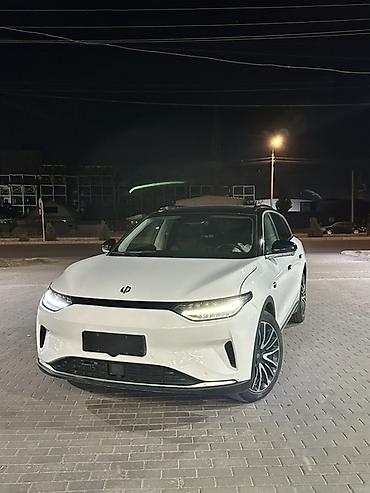 дверь на легаси: Электромобиль LEAPMOTOR C11, кроссовер белого цвета Основные — 3
