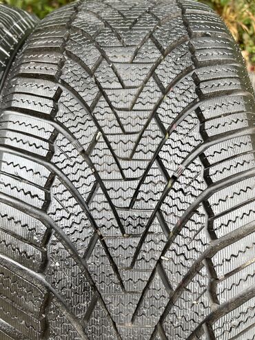 купить шины на камаз в бишкеке: Шиналар 185 / 50 / R 16, Кыш, Колдонулган, Жуп, Жеңил унаалар, Кытай