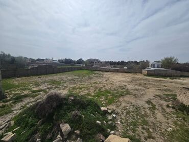 Torpaq sahələrinin satışı: 25 sot, Tikinti, Mülkiyyətçi, Kupça (Çıxarış) -da lalafo.az — 15 Torpaq sahələrinin satışı: 25 sot, Tikinti, Mülkiyyətçi, Kupça (Çıxarış) — 15