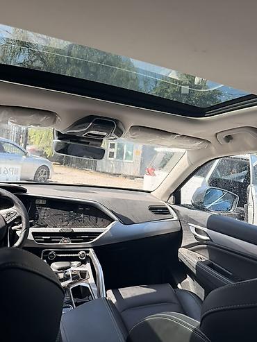 geely tugela: Geely Tugella: 2021 г., 1.5 л, Гибрид, Кроссовер — 9