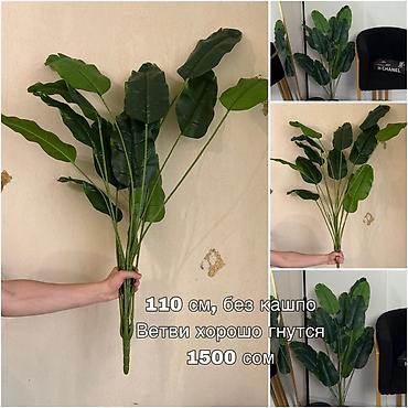 эвелины цветы: Искусственные растения 
Цены на фото — 1