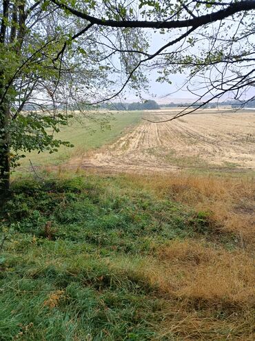 Продажа участков: 72 соток, Для сельского хозяйства, Договор купли-продажи — 16