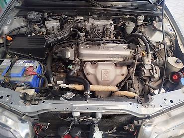 mugen: Honda Accord: 1996 г., 2 л, Механика, Бензин, Седан — 1