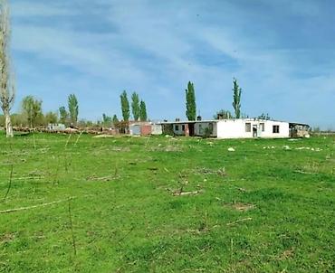 50 соток Для сельского хозяйства, Электричество, Водопровод at lalafo.kg 50 соток Для сельского хозяйства, Электричество, Водопровод