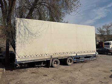 Грузовики: Грузовик, DAF, Б/у — 13