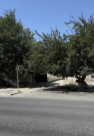 astarada ev satilir: Zığ qəs. 3 otaqlı, 105 kv. m, Orta təmir — 8
