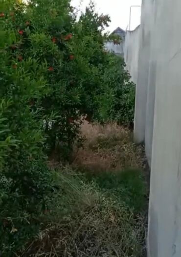 Həyət evləri və villaların satışı: Həzi Aslanov qəs. 8 otaq, 240 kv. m, Kredit yoxdur, Yeni təmirli — 3