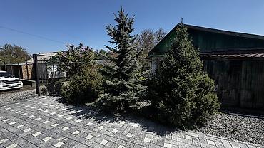 Продажа дач: Продаю дом дача Общество ДТ Энергия Участок 5.5 соток Красная книга — 7