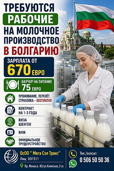 Унаа боёгучтар: Талап кылынат Унаа механиги Айлык, Расмий жумушка орноштуруу — 2