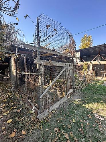 Продажа коттеджей и домов: 📍 В Шопокове продается дом на участке 7 соток, 72 кв.м. 🏡Дом без — 6