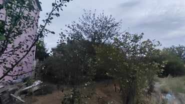 Torpaq sahələrinin satışı: 6 sot, Kənd təsərrüfatı, Barter mümkündür, Kupça (Çıxarış) — 4