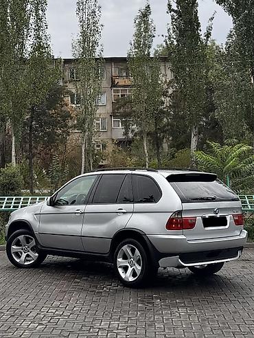 турбо мен: BMW X5: 2004 г., 3 л, Автомат, Дизель, Кроссовер — 4