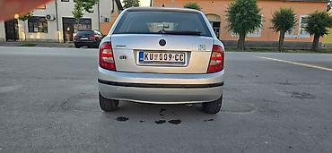 Skoda: Škoda Fabia, srebrna, 5 vrata, registracija KU009-CC. Hečbek — 2