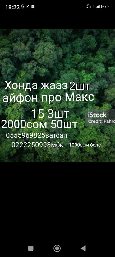 Другие услуги: Белет бар 2000шутк белет алгансон кайсыл атты жазышты унутпан ватсапка