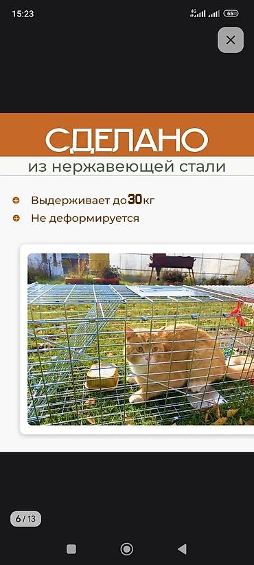 электропастух купить: Складная живоловушка-капкан гуманного типа Назначение: - Отлов кошек — 6