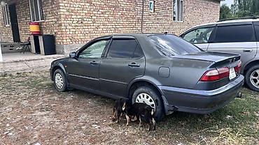 e34 2 5: Honda Torneo: 2000 г., 1.8 л, Автомат, Бензин, Седан — 9