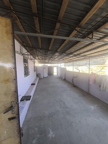 gence emlak ev: 4 otaqlı, 100 kv. m, Yeni təmirli — 1