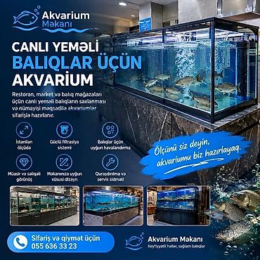 baliq unu satilir: Canlı yeməli balıqlar üçün peşəkar akvarium sistemləri Restoran — 1