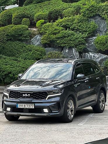 киа молдинк: Kia Sorento: 2023 г., 2.2 л, Автомат, Дизель, Кроссовер — 5