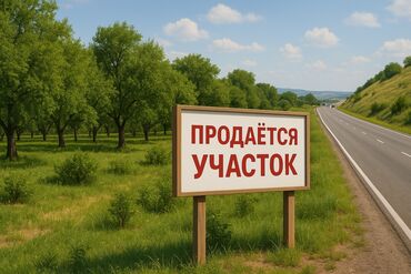 земельный участок в караколе: 61 соток, Для бизнеса, Красная книга
