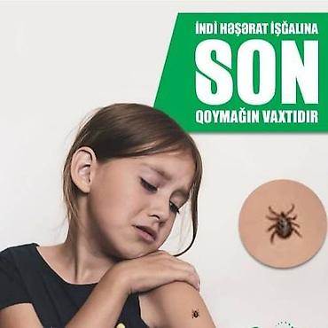 kükürd ilan: Görülən Bütün xidmətlərə zəmanət…!!!! Tarakan Qarişqa Bit-Birə Milçək — 7