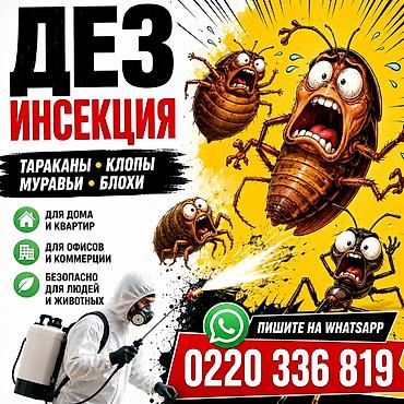 гигиена: Дезинфекциялоо, дезинсекциялоо, | Кумурскалар, | Батирлер — 1
