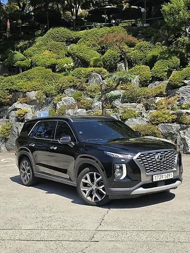 фары на опель вектра б: Hyundai Palisade: 2021 г., 2.2 л, Автомат, Дизель, Кроссовер — 4