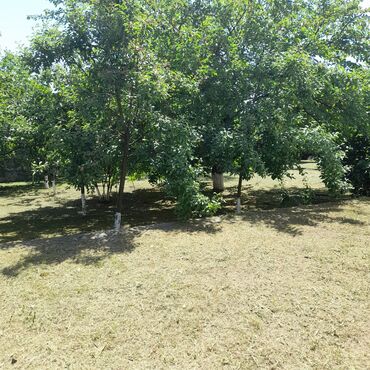 Günlük kirayə evlər: 250 kv. m, 5 otaqlı, Artezian quyusu, Telefon, İnternet -da lalafo.az — 27 Günlük kirayə evlər: 250 kv. m, 5 otaqlı, Artezian quyusu, Telefon, İnternet — 27