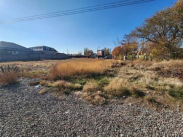 Продажа участков: 28 соток, Для строительства, Договор купли-продажи, Красная книга — 4