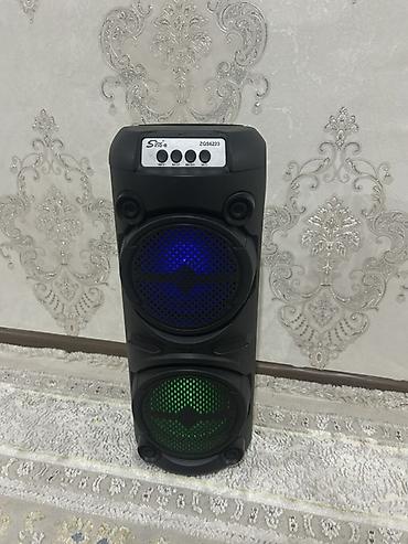 ses aparatı: SNOY ZQS6223 portativ akustik sistemi - İkiqat 6.5" dinamikli güclü — 2