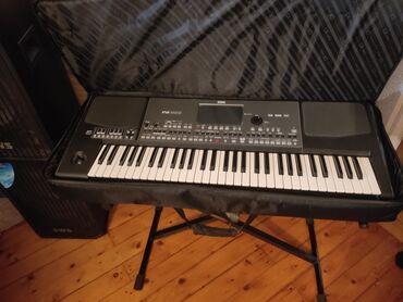 Pianolar: Sintezator, Korg, İşlənmiş